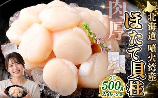 【 14営業日以内発送 】 北海道産 ホタテ 貝柱 500g ( 250g × 2パック ) 魚介類 海鮮 海産物 生食用 肉厚 お刺身 海鮮丼 バター醤油焼き フライ 国産 鮮度抜群 おつまみ おかず 晩酌 酒の肴 冷凍
