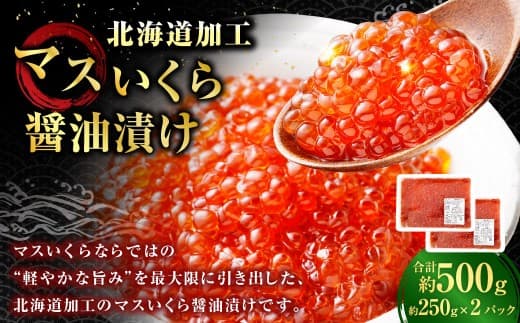 【 14営業日以内に発送 】 マスいくら 醤油漬け 500g ( 250g × 2パック ) いくら いくら醤油漬け 鱒卵 新鮮 海鮮 卵 魚介類 魚介 海鮮 冷凍 魚卵 ご飯のお供