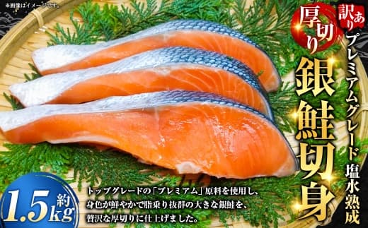 【 訳あり 】 プレミアムグレード 塩水熟成 厚切り 銀鮭切身 約1.5kg 銀鮭 鮭 サケ さけ シャケ 魚介 魚介類 魚 魚類 海鮮 おかず 晩酌 小分け 冷凍