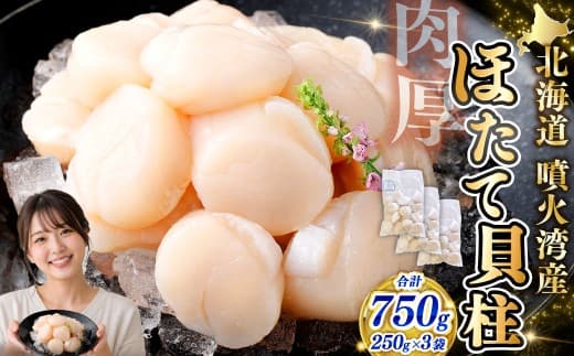 【 14営業日以内発送 】 北海道産 ホタテ 貝柱 750g ( 250g × 3パック ) 魚介類 海鮮 海産物 生食用 肉厚 お刺身 海鮮丼 バター醤油焼き フライ 国産 鮮度抜群 おつまみ おかず 晩酌 酒の肴 冷凍