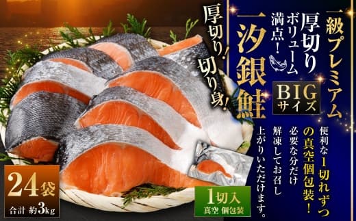 一級品プレミアム BIGサイズ一汐銀鮭切身 厚切り 24袋 ( 約3kg ) 1切ずつ真空個包装 鮭 シャケ 魚介類 海鮮 真空パック おかず おつまみ 晩酌 酒の肴 お惣菜 養殖 チリ産 プレミアムグレード 冷凍