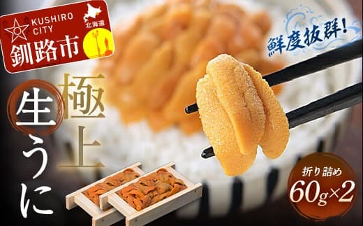 生うに折60g×2【鮮度抜群!極上生えぞバフンうに】 ふるさと納税 うに F4F-3205 (管理コード:F4F-3205)