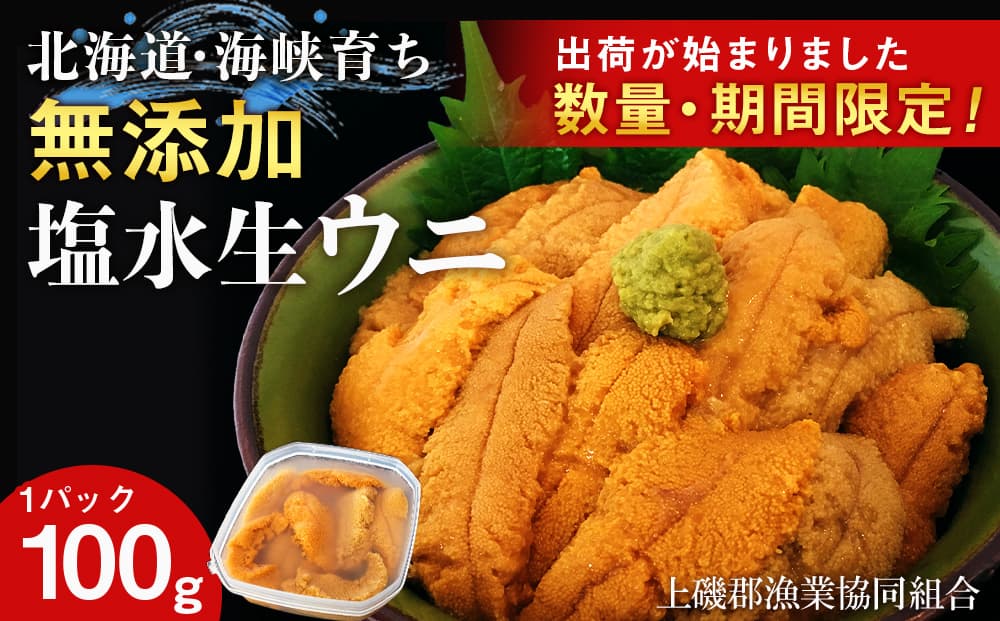 【2026年6月中旬以降発送】 キタムラサキウニ 100g×1パック 上磯郡漁業協同組合 むらさきうに 塩水ウニ 塩水パック 無添加 知内町 ふるさと納税 北海道ふるさと納税 ウニ 北海道産ウニ うに 雲丹