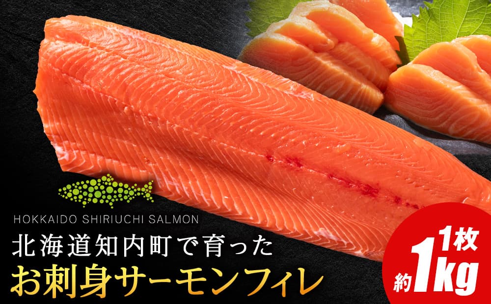 知内サーモンフィーレ 1㎏≪上磯郡漁業協同組合≫ サーモン 鮭 さけ 国産