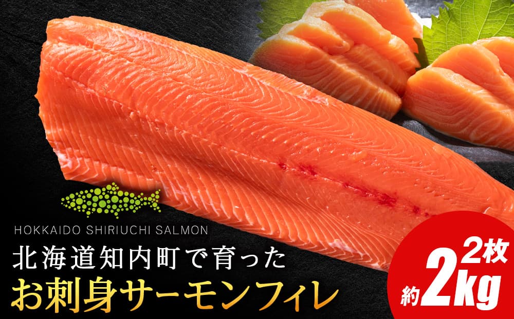 知内サーモンフィーレ 2㎏≪上磯郡漁業協同組合≫ サーモン 鮭 さけ 国産