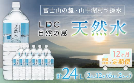 【12カ月定期便】自然の恵み天然水 2L×12本(6本入り2ケース) 計24L を12カ月連続でお届け ※沖縄・離島配送不可 YX003
