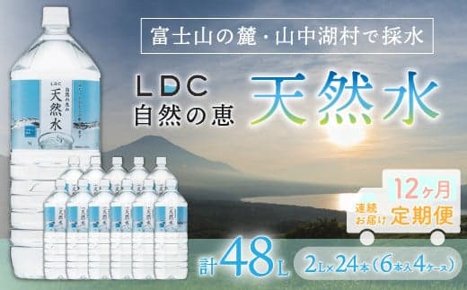 【12カ月定期便】自然の恵み天然水 2L×24本(6本入り4ケース) 計48L を12カ月連続でお届け ※沖縄・離島配送不可 YX006