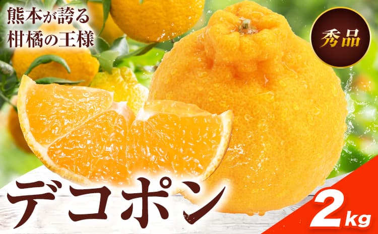 デコポン 約2kg 日本フルーツ株式会社 熊本県 長洲町 《12月中旬-4月上旬頃出荷》 熊本県 長洲町 送料無料 デコポン 果物 秀品---sn_nfdk_12c4j_26_12000_2kg---