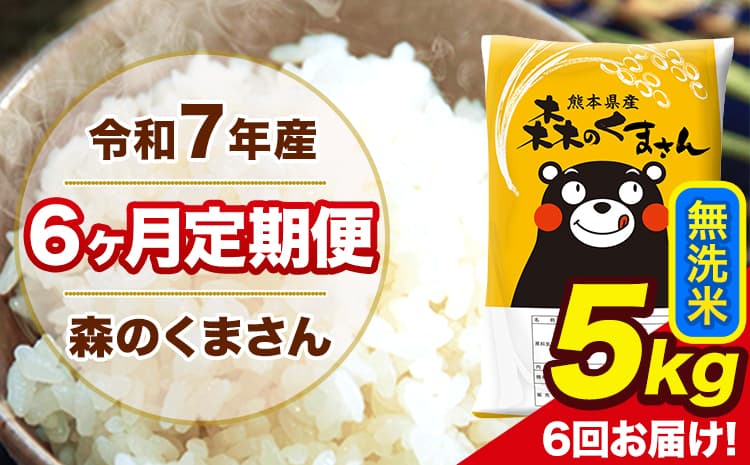 令和7年産 森のくまさん 無洗米 5kg 5kg×1袋 計6回お届け 《お申込み翌月から出荷》 お米 こめ 熊本県産 ご飯 備蓄---mk7tei_60000_5kg_mo6_ng_m---