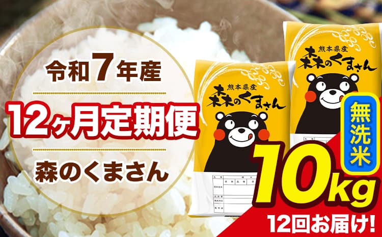 令和7年産 森のくまさん 無洗米 10kg 5kg×2袋 計12回お届け 《お申込み翌月から出荷》 お米 こめ 熊本県産 ご飯 備蓄---mk7tei_234000_10kg_mo12_ng_m---