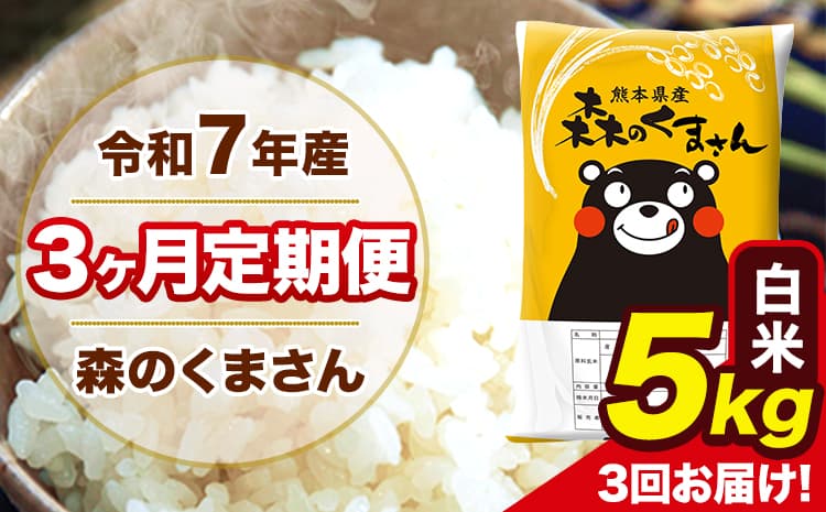 令和7年産 森のくまさん 白米 5kg 5kg×1袋 計3回お届け 《お申込み翌月から出荷》 お米 こめ 熊本県産 ご飯 備蓄---mk7tei_30000_5kg_mo3_ng_h---