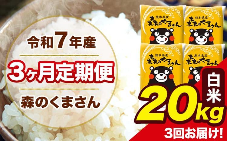 令和7年産 森のくまさん 白米 20kg 5kg×4袋 計3回お届け 《お申込み翌月から出荷》 お米 こめ 熊本県産 ご飯 備蓄---mk7tei_115500_20kg_mo3_ng_h---