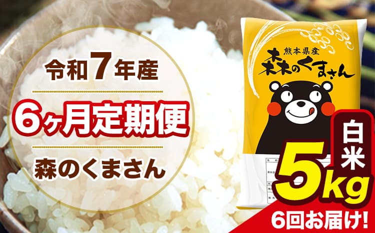 令和7年産 森のくまさん 白米 5kg 5kg×1袋 計6回お届け 《お申込み翌月から出荷》 お米 こめ 熊本県産 ご飯 備蓄---mk7tei_60000_5kg_mo6_ng_h---