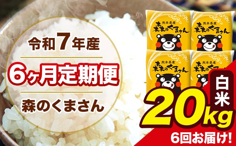令和7年産 森のくまさん 白米 20kg 5kg×4袋 計6回お届け 《お申込み翌月から出荷》 お米 こめ 熊本県産 ご飯 備蓄---mk7tei_231000_20kg_mo6_ng_h---