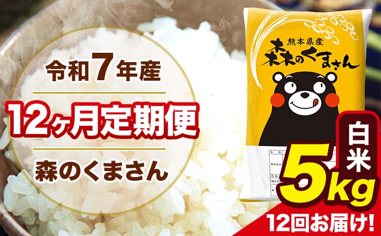 令和7年産 森のくまさん 白米 5kg 5kg×1袋 計12回お届け 《お申込み翌月から出荷》 お米 こめ 熊本県産 ご飯 備蓄---mk7tei_120000_5kg_mo12_ng_h---