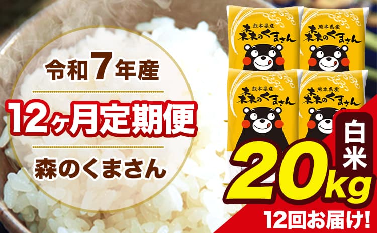 令和7年産 森のくまさん 白米 20kg 5kg×4袋 計12回お届け 《お申込み翌月から出荷》 お米 こめ 熊本県産 ご飯 備蓄----mk7tei_462000_20kg_mo12_ng_h--