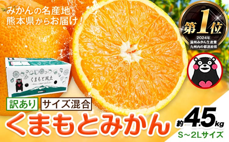 みかん 訳あり くまもとみかん 約4.5kg S-2Lサイズ サイズ混合 ご家庭用《7-14日以内に出荷予定(土日祝除く)》 訳あり みかん フルーツ サイズ混合 秋 旬 柑橘 熊本県 長洲町 熊本県産 長洲町産含む---ng_wkmkn_wx_9000_45k---