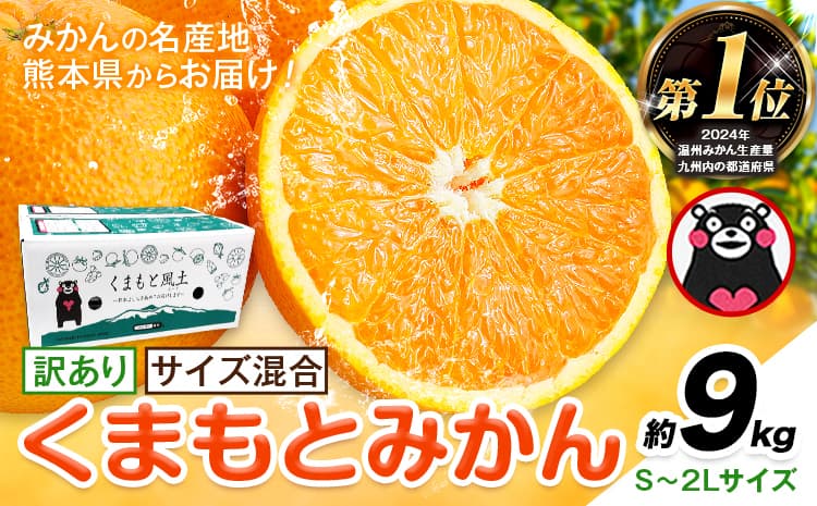 みかん 訳あり くまもとみかん 約9kg S-2Lサイズ サイズ混合 ご家庭用《7-14日以内に出荷予定(土日祝除く)》 訳あり みかん フルーツ サイズ混合 秋 旬 柑橘 熊本県 長洲町 熊本県産 長洲町産含む---ng_wkmkn_wx_13500_9kg---