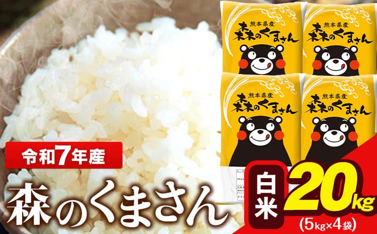 米 令和7年産 森のくまさん 20kg 5kg × 4袋 白米 熊本県産 単一原料米 森くま《7-14日以内に出荷予定(土日祝除く)》送料無料---ng_mk7_wx_38500_20kg_h---