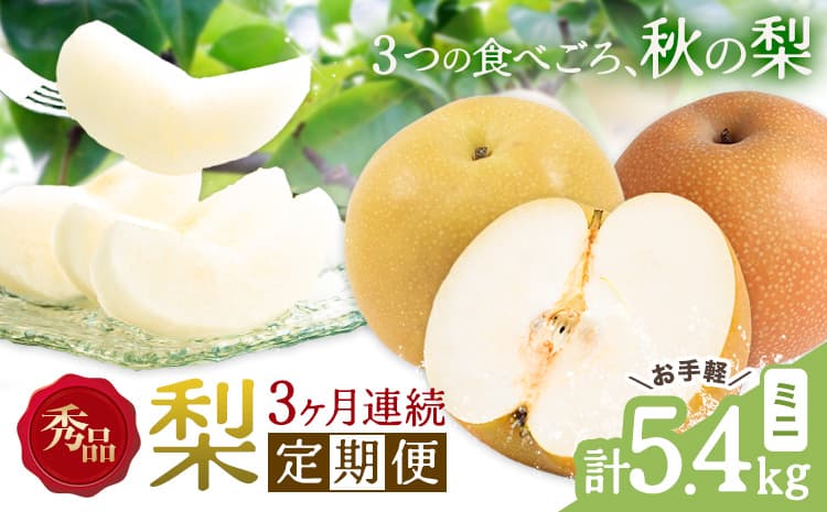 【3ヶ月定期便】梨 定期便 秀品 3ヶ月連続 梨の定期便 ミニ 計5.4kg 日本フルーツ株式会社《8月上旬-10月末頃出荷》熊本県 長洲町 なし ナシ 豊水梨 秋月梨 新高梨 果物 フルーツ---sn_cnfzntei_29500_mini_aug3---