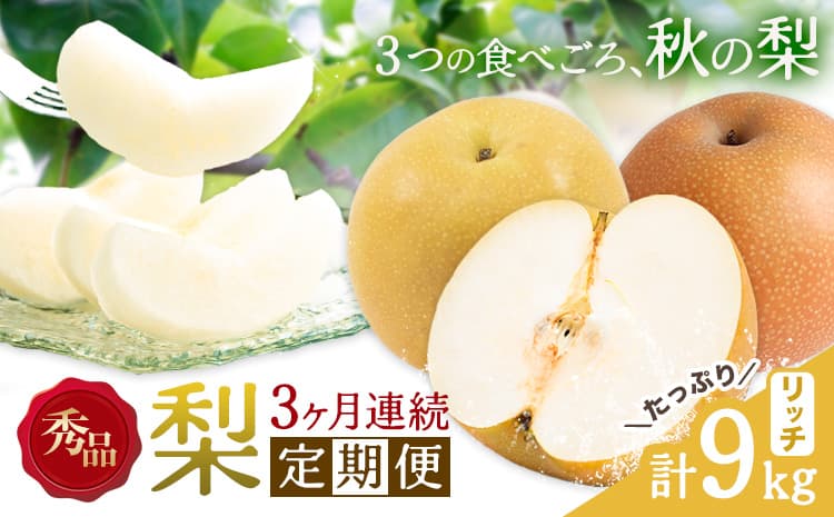 【3ヶ月定期便】梨 定期便 秀品 3ヶ月連続 梨の定期便 リッチ 計9kg 日本フルーツ株式会社《8月上旬-10月末頃出荷》熊本県 長洲町 なし ナシ 豊水梨 秋月梨 新高梨 果物 フルーツ---sn_cnfzntei_41000_rich_aug3---