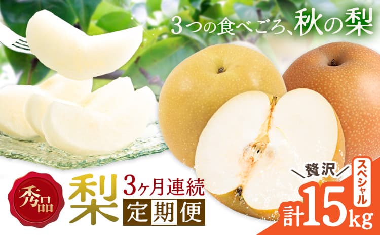 【3ヶ月定期便】梨 定期便 秀品 3ヶ月連続 梨の定期便 スペシャル 計15kg 日本フルーツ株式会社《8月上旬-10月末頃出荷》熊本県 長洲町 なし ナシ 豊水梨 秋月梨 新高梨 果物 フルーツ---sn_cnfzntei_49000_special_aug3---