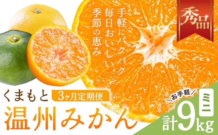 【3ヶ月定期便】みかん 定期便 秀品 温州みかん ミニ 計9kg 日本フルーツ株式会社《10月上旬-12月末頃出荷》熊本県 長洲町 ミカン 蜜柑 柑橘類 極早生 早生 中生 果物 フルーツ---sn_nfumtei_23000_mini_oct3---
