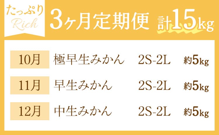 【3ヶ月定期便】みかん 定期便 秀品 温州みかん リッチ 計15kg 日本フルーツ株式会社《10月上旬-12月末頃出荷》熊本県 長洲町 ミカン 蜜柑 柑橘類 極早生 早生 中生 果物 フルーツ---sn_nfumtei_28500_rich_oct3---