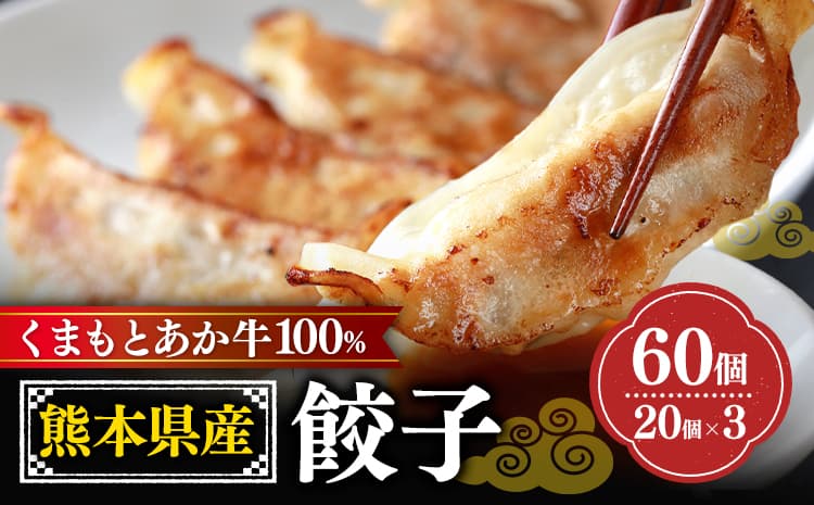 熊本県産 GI認証取得 くまもとあか牛 100% 餃子 60個 20個入り × 3 くまふる《45日以内に出荷予定(土日祝除く)》熊本県 長洲町 肉 牛肉 あか牛 赤牛 餃子 熊本県産 国産---sn_fkmgyz_26_45d_12500_60k---