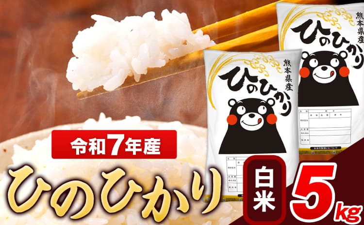 米 令和7年産 ひのひかり 白米 5kg 《7-14日以内に出荷予定(土日祝除く)》 5kg×1袋 熊本県産 米 精米 ひの 長洲町 ---ng_hn7_wx_10000_5kg_h---