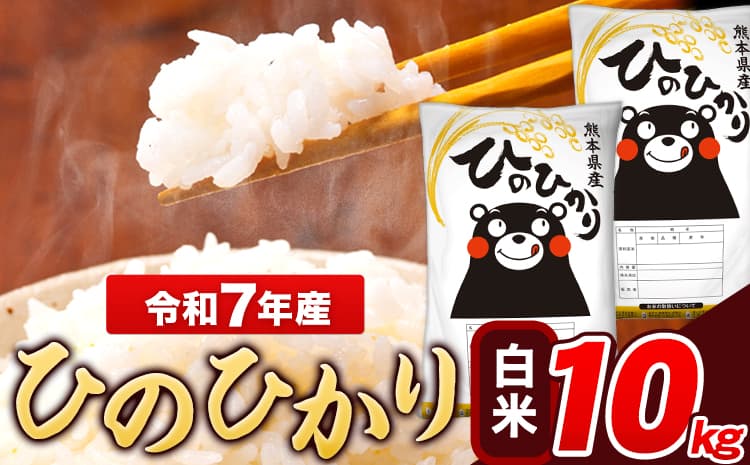 米 令和7年産 ひのひかり 白米 10kg 《7-14日以内に出荷予定(土日祝除く)》 5kg×2袋 熊本県産 米 精米 ひの 長洲町---ng_hn7_wx_19500_10kg_h---