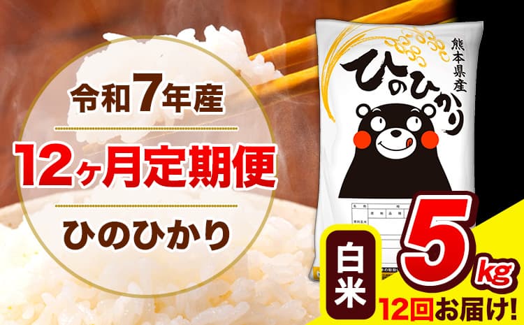 令和7年産 ひのひかり 【12ヶ月定期便】 白米 5kg (5kg×1袋) 計12回お届け 《お申込み翌月から出荷》 熊本県産 白米 精米 ひの 米 こめ お米 熊本県 長洲町---hn7tei_120000_5kg_mo12_ng_h---