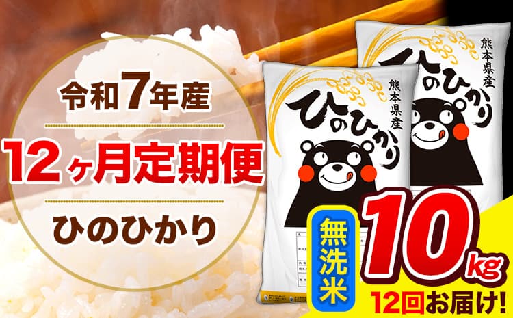 令和7年産 ひのひかり 【12ヶ月定期便】 無洗米 10kg (5kg×2袋) 計12回お届け 《お申込み翌月から出荷》 熊本県産 無洗米 精米 ひの 米 こめ お米 熊本県 長洲町---hn7tei_234000_10kg_mo12_ng_m---