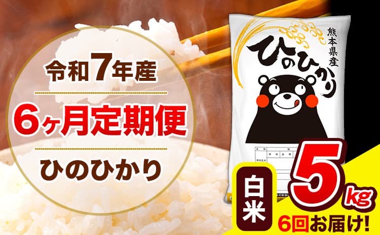 令和7年産 ひのひかり 【6ヶ月定期便】 白米 5kg (5kg×1袋) 計3回お届け 《お申込み翌月から出荷》 熊本県産 白米 精米 ひの 米 こめ お米 熊本県 長洲町---hn7tei_60000_5kg_mo6_ng_h---