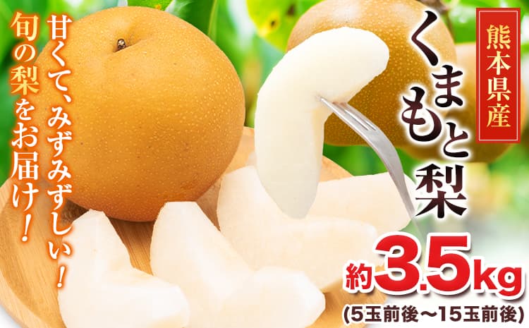 梨 くまもと梨 なし 幸水 豊水 先行 果物 くだもの フルーツ ナシ 送料無料 あきづき 甘太 新高 新興 約3.5kg 5玉~15玉前後 熊本県産 旬 秋【着日指定不可】《2026年8月下旬‐11月中旬頃より順次発送》---fn_cngsnasi_h811_r8_10000_3500g---