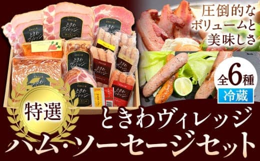 K-09 ときわヴィレッジ 特撰 ハム ソーセージセット ハム 手造り 燻製 ハムセット 社会福祉法人敬業会ヴィレッジ興産 ときわヴィレッジ《45日以内に出荷予定(土日祝除く)》岡山県 笠岡市 肉 豚肉 にんじん ドレッシング ギフト---K-09--- (管理コード:K-09)