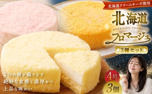 北海道フロマージュ 3種セット (プレーン ・ アップル ・ メロン) 約1.05kg (約350g×3個) 3種類 林檎 りんご リンゴ フロマージュ クリームチーズ ケーキ 洋菓子 菓子 お菓子 セット 北海道 小樽市 冷凍