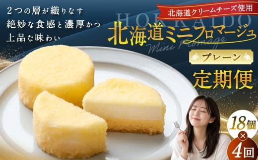 【4回定期便】 北海道ミニフロマージュ (プレーン) 約900g×4回 合計約3.6kg ミニフロマージュ フロマージュ チーズケーキ ケーキ スイーツ 洋菓子 冷凍 北海道 小樽市