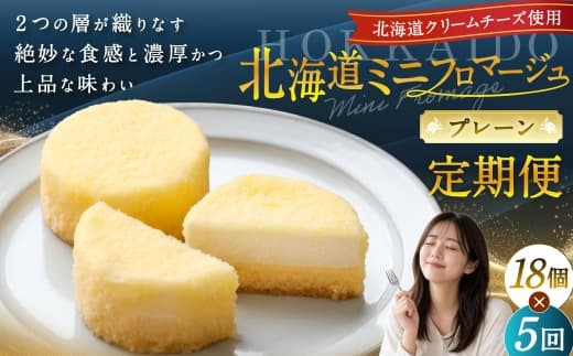 【5回定期便】 北海道ミニフロマージュ (プレーン) 約900g×5回 合計約4.5kg ミニフロマージュ フロマージュ チーズケーキ ケーキ スイーツ 洋菓子 冷凍 北海道 小樽市