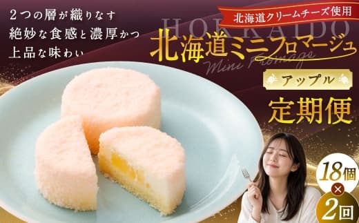 【2回定期便】 北海道ミニフロマージュ (アップル) 約900g×2回 合計約1.8kg ミニフロマージュ フロマージュ チーズケーキ ケーキ スイーツ 洋菓子 冷凍 北海道 小樽市
