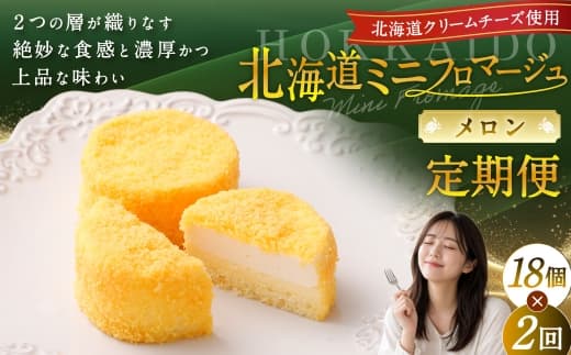 【2回定期便】 北海道ミニフロマージュ (メロン) 約900g×2回 合計約1.8kg ミニフロマージュ フロマージュ チーズケーキ ケーキ スイーツ 洋菓子 冷凍 北海道 小樽市