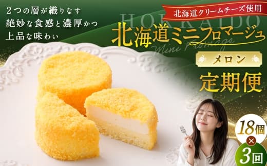 【3回定期便】 北海道ミニフロマージュ (メロン) 約900g×3回 合計約2.7kg ミニフロマージュ フロマージュ チーズケーキ ケーキ スイーツ 洋菓子 冷凍 北海道 小樽市