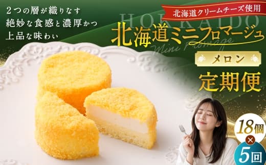 【5回定期便】 北海道ミニフロマージュ (メロン) 約900g×5回 合計約4.5kg ミニフロマージュ フロマージュ チーズケーキ ケーキ スイーツ 洋菓子 冷凍 北海道 小樽市