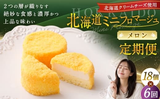 【6回定期便】 北海道ミニフロマージュ (メロン) 約900g×6回 合計約5.4kg ミニフロマージュ フロマージュ チーズケーキ ケーキ スイーツ 洋菓子 冷凍 北海道 小樽市