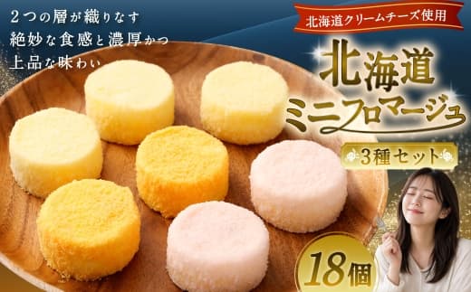 北海道ミニフロマージュ 3種 セット (プレーン ・ アップル ・ メロン) 約300g(50g×6個入)×3個 合計約900g ミニフロマージュ フロマージュ チーズケーキ ケーキ スイーツ 洋菓子 冷凍 北海道 小樽市