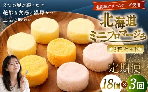 【3回定期便】 北海道ミニフロマージュ 3種 セット (プレーン ・ アップル ・ メロン) 約900g×3回 合計約2.7kg ミニフロマージュ フロマージュ チーズケーキ ケーキ スイーツ 洋菓子 冷凍 北海道 小樽市