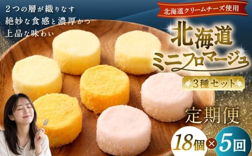 【5回定期便】 北海道ミニフロマージュ 3種 セット (プレーン ・ アップル ・ メロン) 約900g×5回 合計約4.5kg ミニフロマージュ フロマージュ チーズケーキ ケーキ スイーツ 洋菓子 冷凍 北海道 小樽市