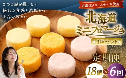 【6回定期便】 北海道ミニフロマージュ 3種 セット (プレーン ・ アップル ・ メロン) 約900g×6回 合計約5.4kg ミニフロマージュ フロマージュ チーズケーキ ケーキ スイーツ 洋菓子 冷凍 北海道 小樽市