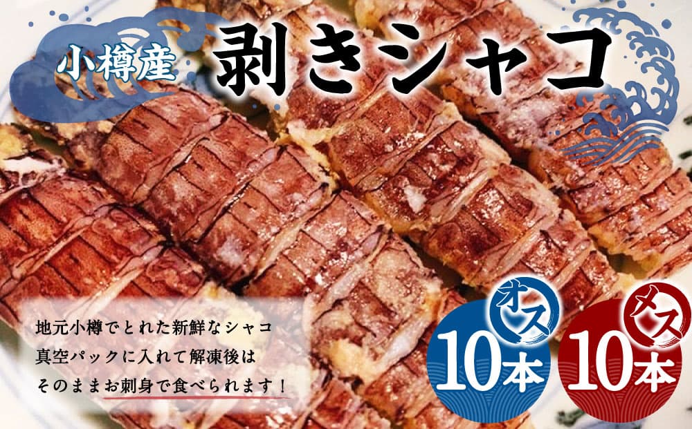 小樽産 剥き シャコオス・メス 各10本 (約200~400g) 蝦蛄 刺し身 刺身 剥きシャコ シャコ 海鮮 海産物 魚介 北海道 小樽市 冷凍