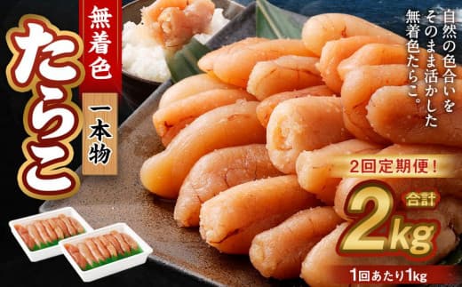 【2回定期便】無着色たらこ 一本物 1kg(500g×2) たらこ タラコ 鱈子 無着色 冷凍 北海道 小樽市